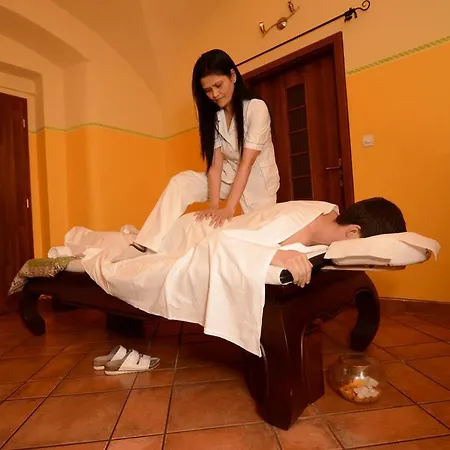 Hotell Spa Hotel Vita