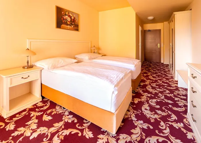 Spa Hotel Vita Hotel 4*